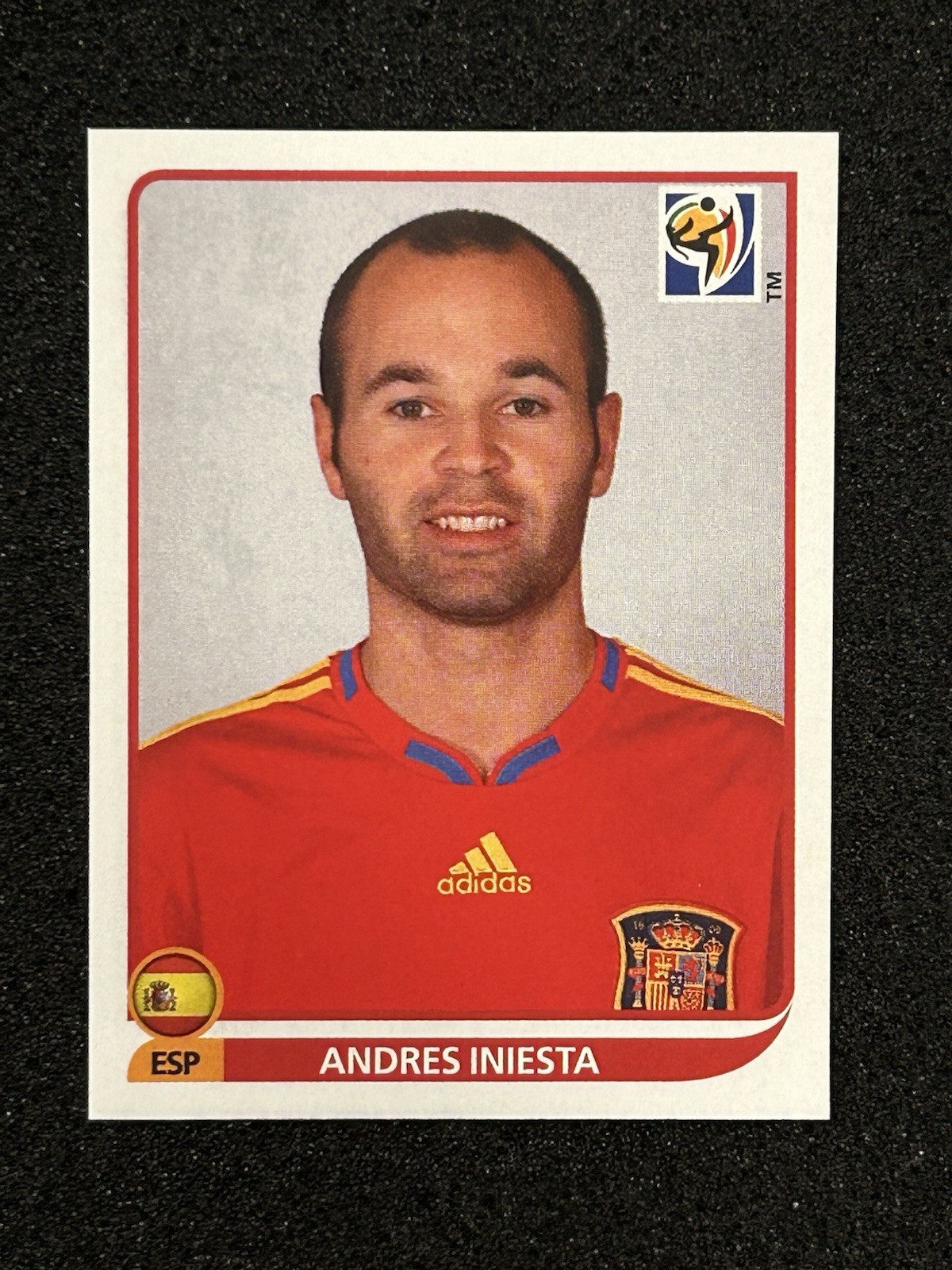 Panini FIFA World Cup South Africa 2010 Stickers - Image 3